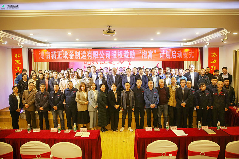 (中国)科技公司股权激励“抱富”计划