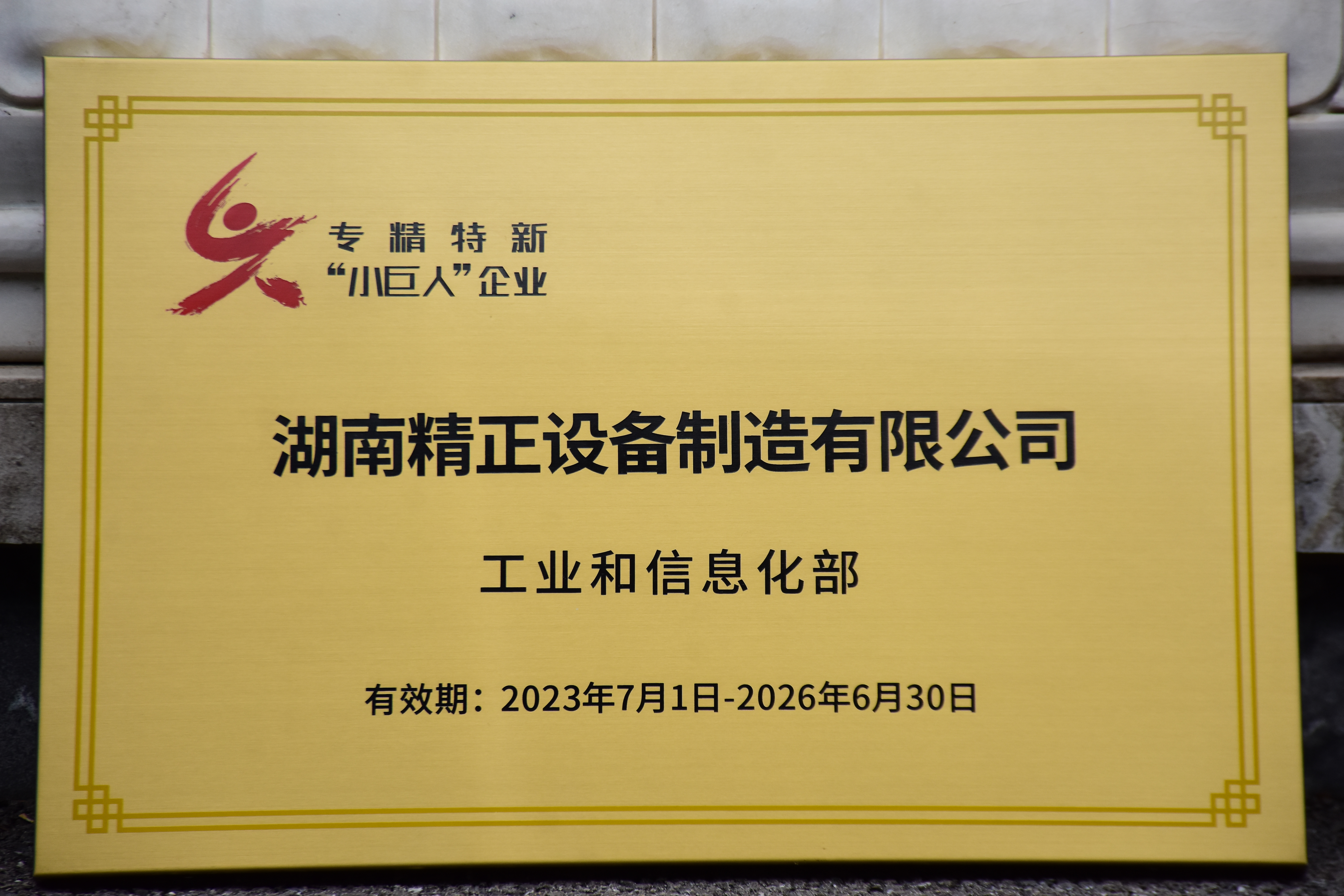 (中国)科技公司获得“专精特新”小巨人企业