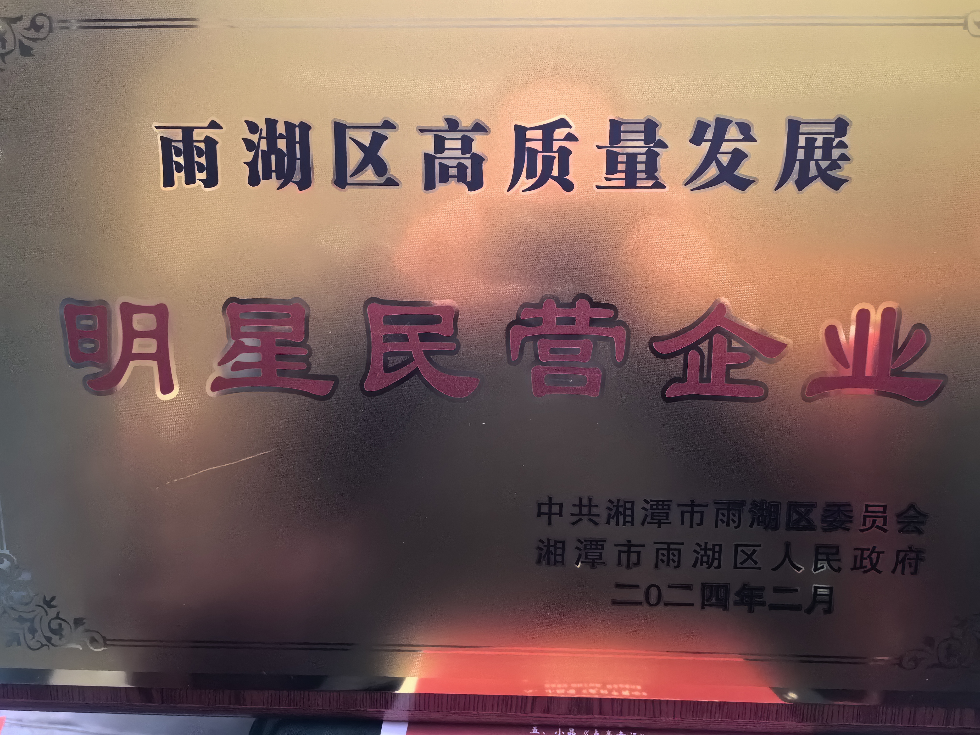 (中国)科技公司荣获“雨湖区高质量发展明星民营企业”称号